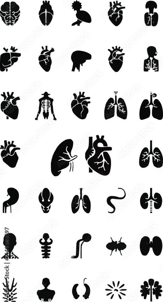Obraz premium black anatomy glyphs, organ icon set