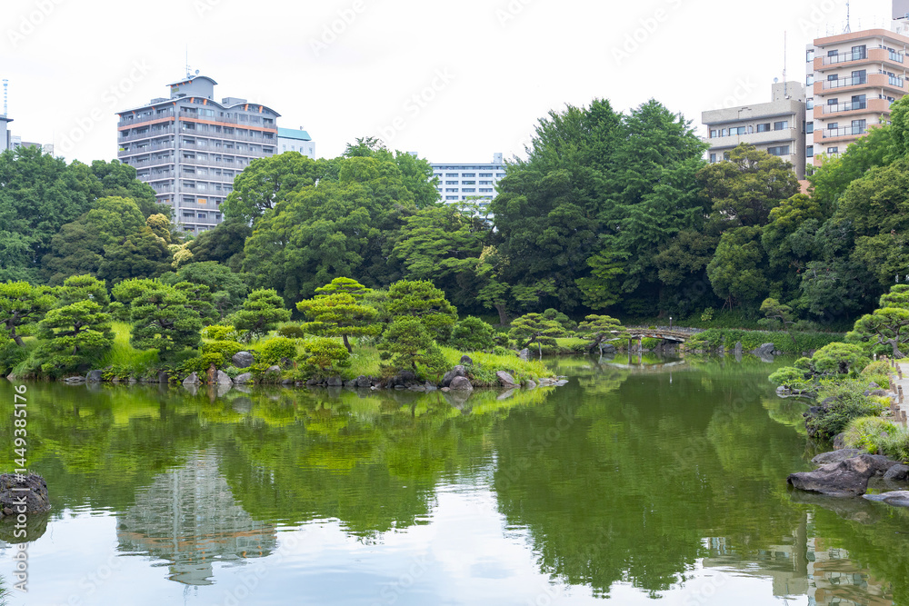 Fototapeta premium 初夏の清澄庭園