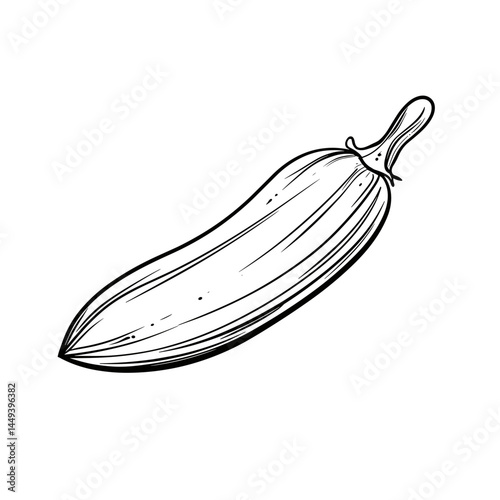Vegetable Peeler with Drawing of Zucchini on White Background  