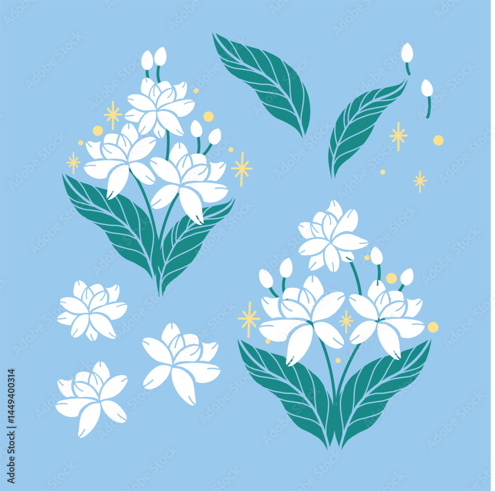 Fototapeta premium Jasmine vector 