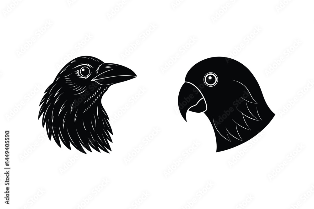 Fototapeta premium Black and white stylized portraits depicting a raven and a parrot perfect for design elements and illustration.