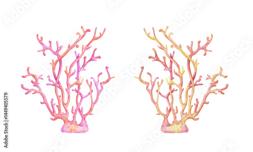 Watercolor illustration of two pink and orange coral branches. Hand-painted marine elements, perfect for ocean-themed designs, packaging, summer projects, and underwater decor.