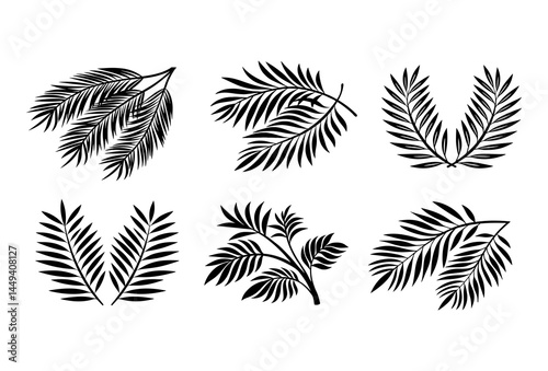 Collection of six black and white palm fronds in various arrangements and styles silhouette