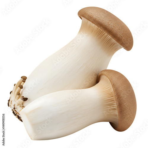 King oyster mushroom pleurotus eryngii edible fungus gourmet ingredient healthy food fresh produce fungi recipe 100g on transparent background