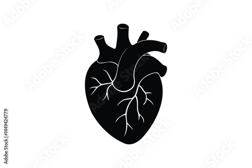 Human heart organ icon silhouette