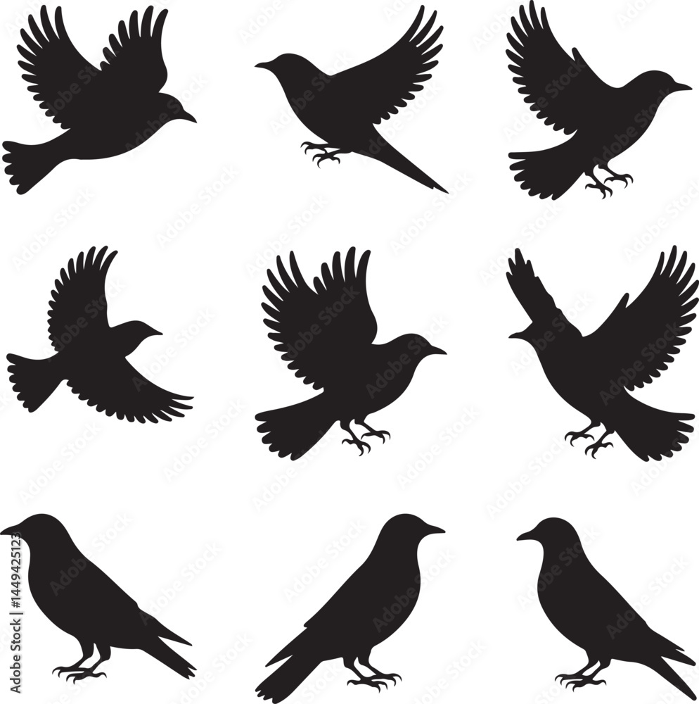 Obraz premium Bird Silhouettes Vector Icons Flying Perched Wings Spread 
