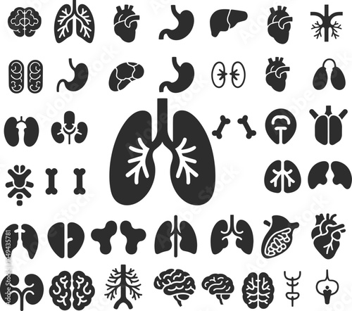 Human Organs Icon Set.eps