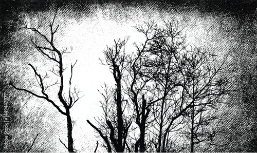 Silhouettes of bare branches of trees on grunge dark background. Misty forest. Gothic style illustration	
