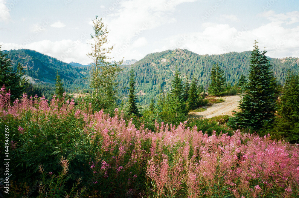 Snoqualmie Pass area in Washington Snoqualmie Pass area in Washington