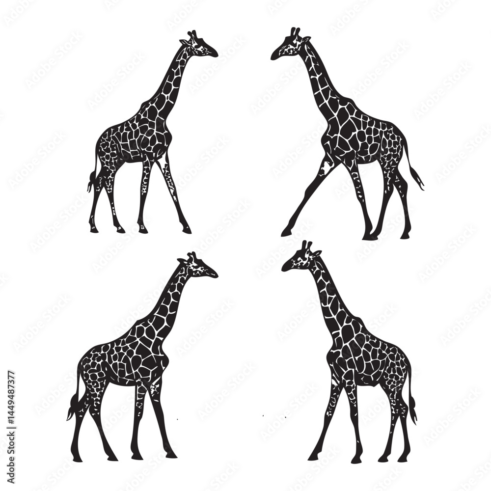 Obraz premium Giraffe Vector Illustrations – Standing Poses in Detailed Black Ink Style