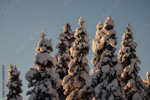 A Winter Drive In Alaska