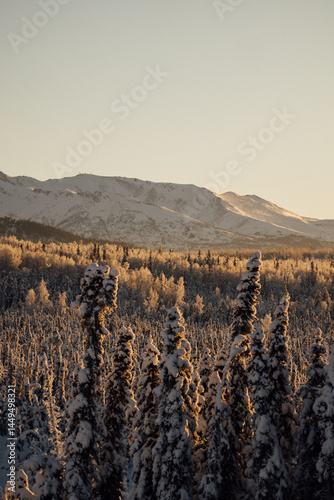 A Winter Drive In Alaska