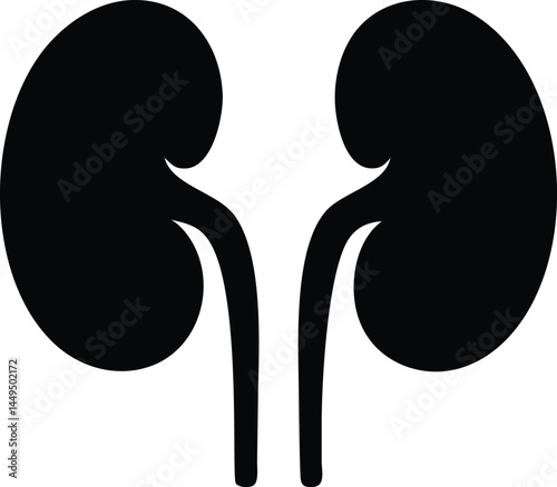 Black silhouette showcases the human kidneys, important anatomical features and bodily functions
