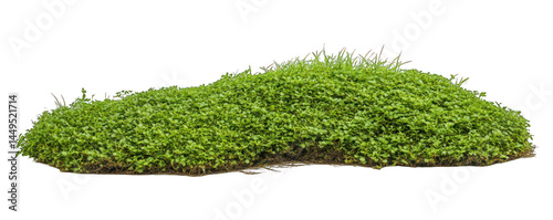 Isolate green grass hill on white background perfect for compositing elements