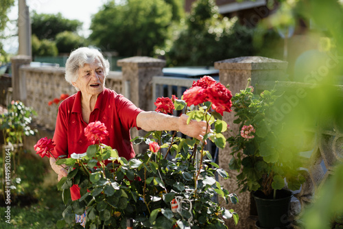 An elderly woman checks the blooming roses in her garden