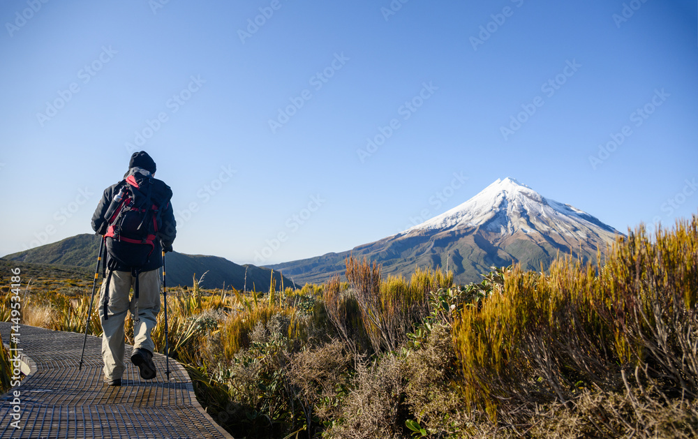 Hiking Pouakai Circuit track. Snow-capped Mt Taranaki in the distance. Egmont National Park. New Zealand.