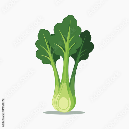 fresh green broccoli florets with stem  vibrant vegetable illustration
