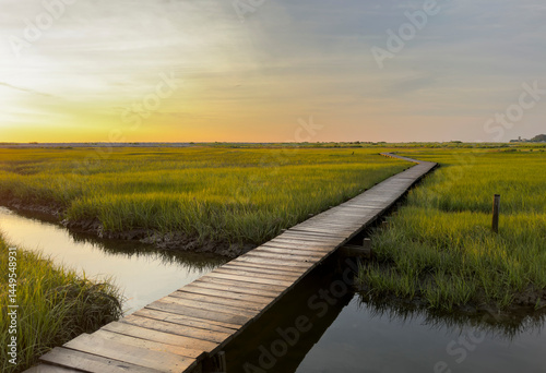 Sunrise at Marsh boardwalk at Coast 