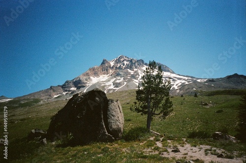 landscape nature of mt. hood timberline trail 