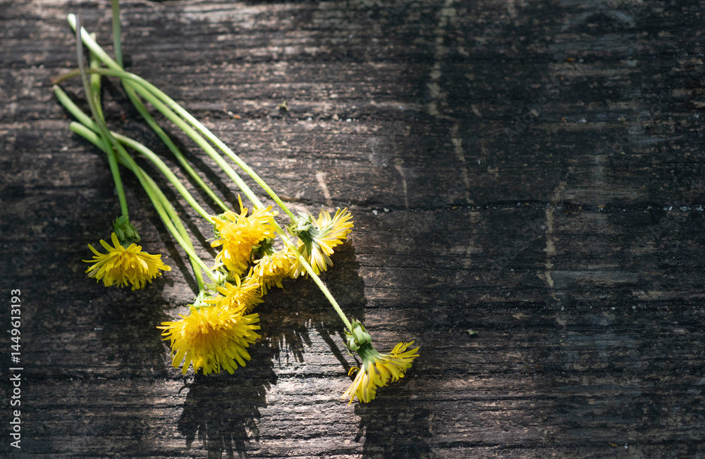 Pattern of fresh yellow spring flowers and fluffy dandelions on wooden surface
