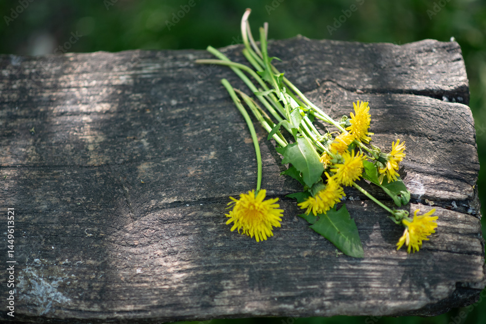 Pattern of fresh yellow spring flowers and fluffy dandelions on wooden surface