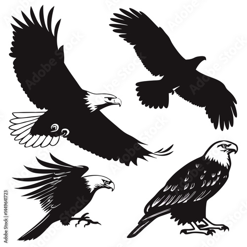 eagle