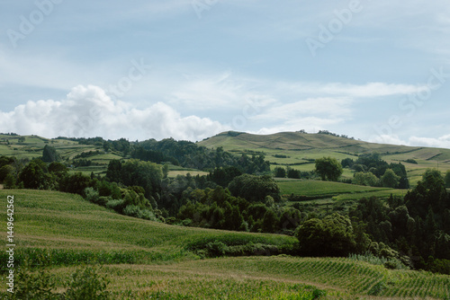 Rolling Green Farmland Hills