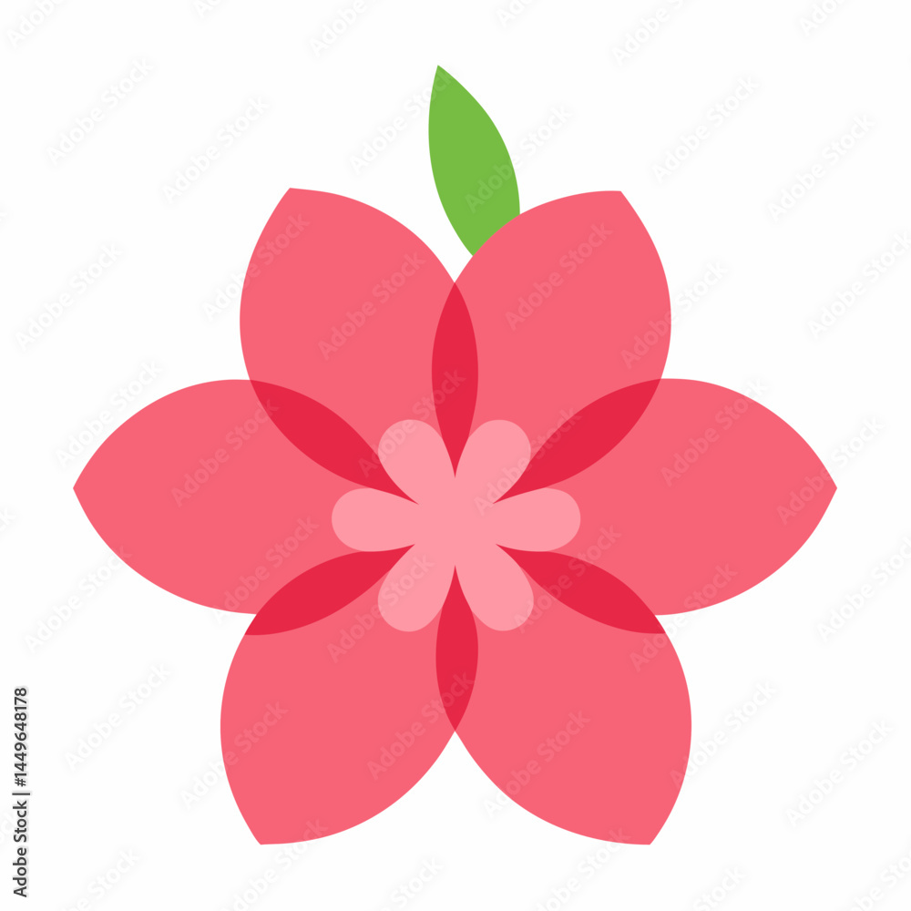 Fototapeta premium pink flower isolated on white