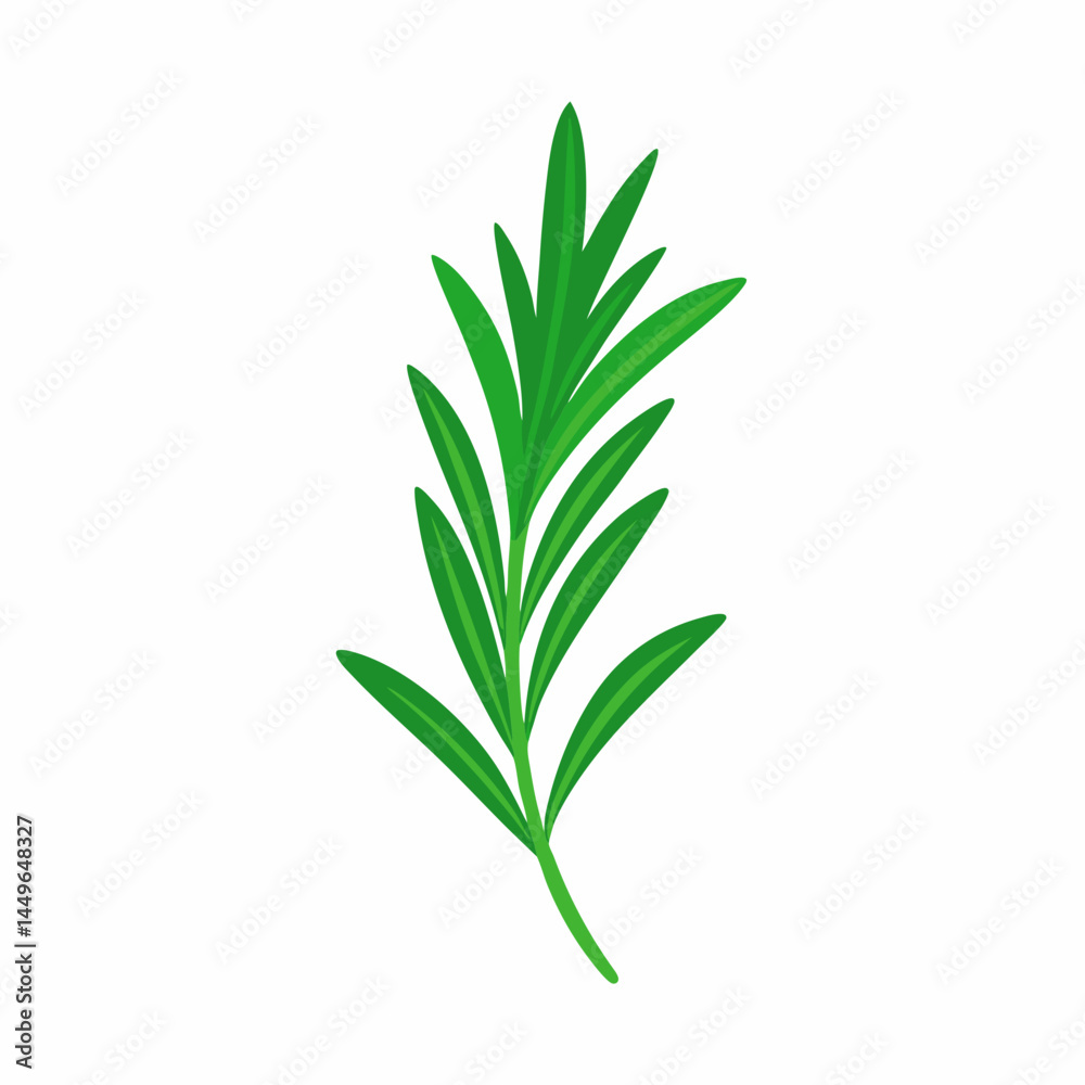 Obraz premium fresh rosemary isolated on white