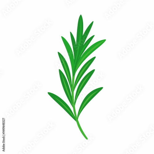 fresh rosemary isolated on white