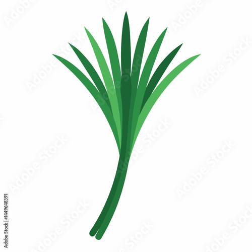 onion isolated on white background