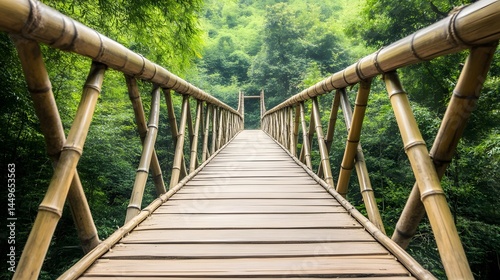 Bamboo Bridge Path in Lush Green Forest