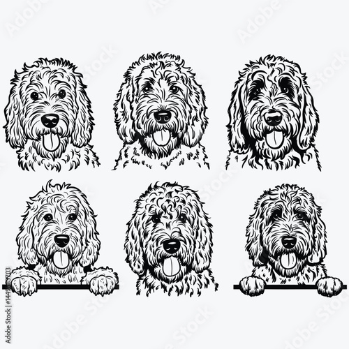 Golden Doodle svg, dog svg Cricut, Face clipart Head body Vector image Download