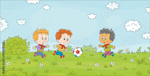 Cheerful little boys playing football on a green playground in a park on summer vacations, vector cartoon illustration
