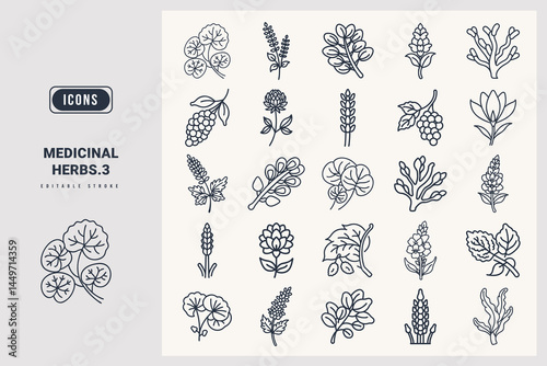 Medicinal herbs icon set. Gotu Kola, Schisandra, Red Clover, Black Cohosh, Horsetail, Moringa, Slippery Elm, Mullein, Bladderwrack, Saffron, silhouette icons.
