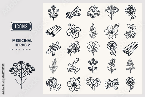 Medicinal herbs icon set Yarrow, Licorice Root, Fenugreek, Cinnamon, Hibiscus, Mullein, Marshmallow Root, Gotu Kola, Red Clover, Skullcap, silhouette icons.