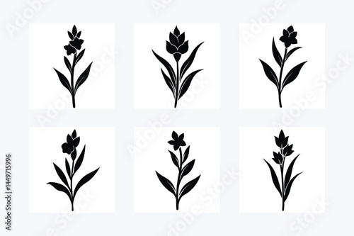 Gladiolus Flowers Set Silhouette Vector Illustration.
