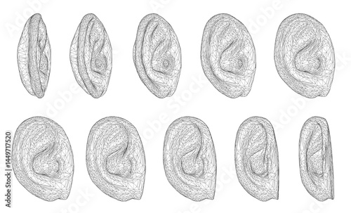 A series of drawings of ears in different positions. The drawings are all in black and white. The mood of the images is somewhat somber and serious