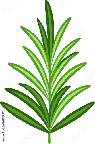 Rosemary icon on white background
