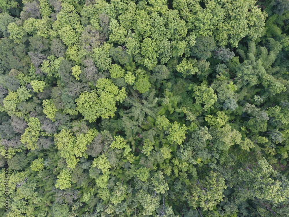 Naklejka premium Top View Aerial Photograph
