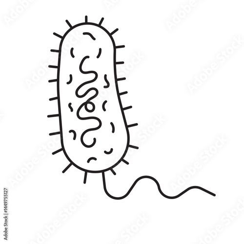 Prokaryotic