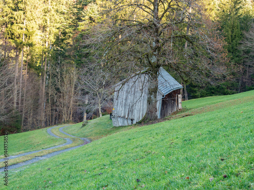 Mogelsberg, Switzerland - January 1st 2024: Dirt road on a green slope with a damaged old shelter