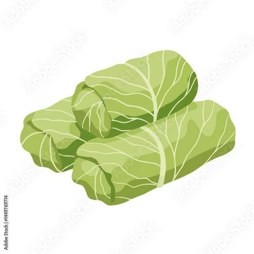 Green cabbage leaves artfully arranged
