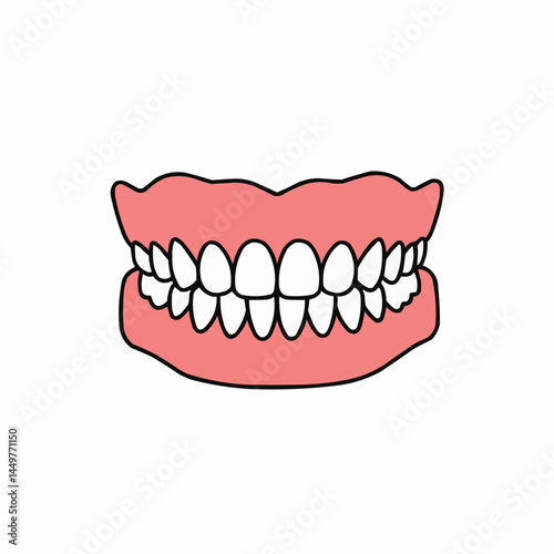 Dentures set, false teeth. The gum colored base and white teeth in a cartoon style