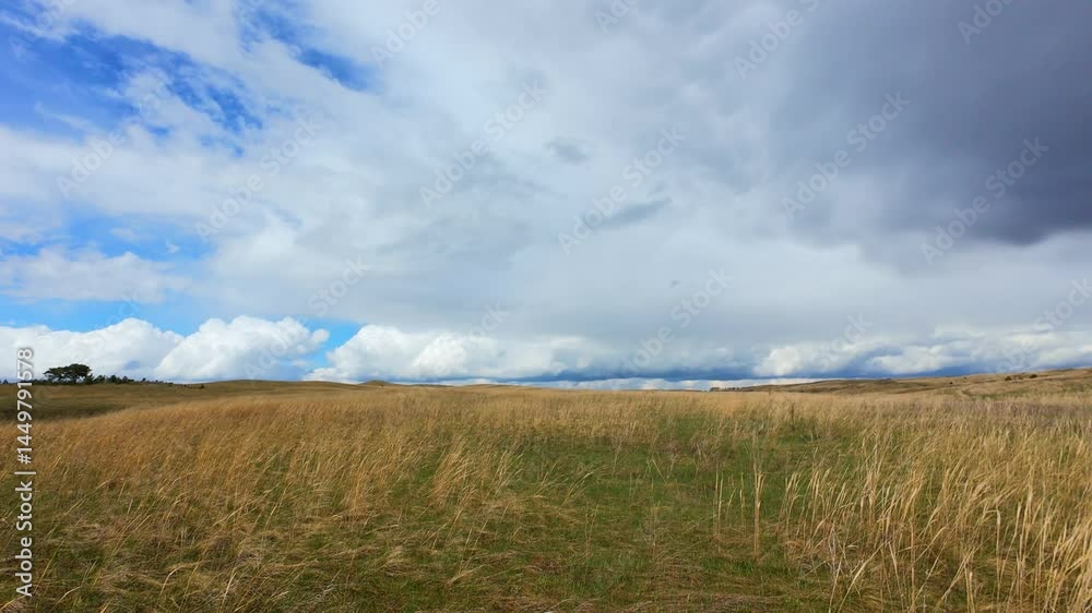 Explore the expansive and vast open fields beneath a dramatically beautiful sky, filled with fluffy clouds. This stunning nature landscape is perfect for creating serene and tranquil environments