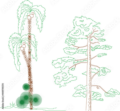 The left tree is a tall coconut palm with hanging fronds and coconuts; the right tree is broad with uneven branches and fluffy, cloud-like foliage.