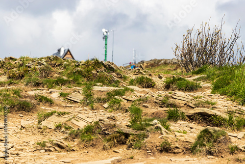 Fototapeta Naklejka Na Ścianę i Meble -  Stone path leading through grassy terrain under a cloudy sky in the Bieszczady Mountains, inviting outdoor exploration and adventure.