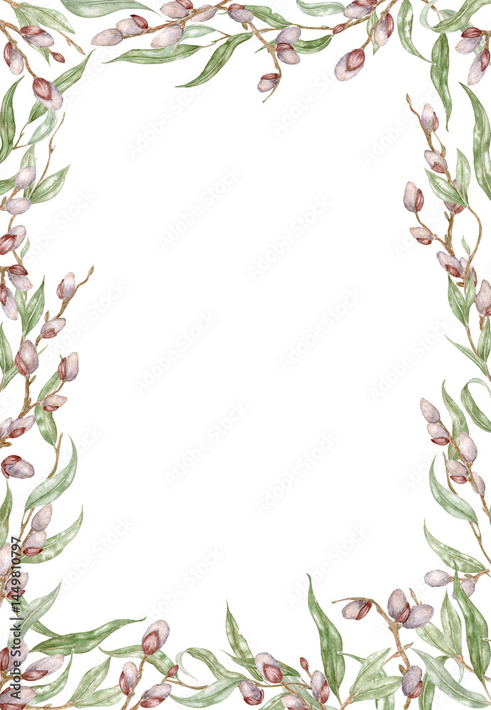 Fototapeta premium Rectangular Frame with Willow. Botanical watercolor illustration of pussy willow. Perfect for your spring-themed wallpaper, banners, textiles, postcards, or wrapping paper