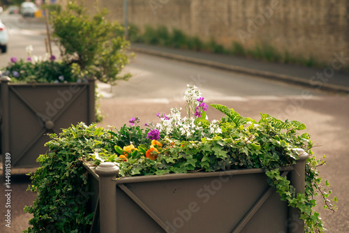 Fototapeta Naklejka Na Ścianę i Meble -  Urban street planter with colorful flowers and greenery in sunny setting