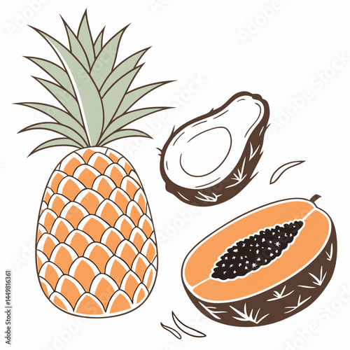 Pineapple coconut papaya tropical fruit summer fresh healthy food vector illustration delicious and sweet